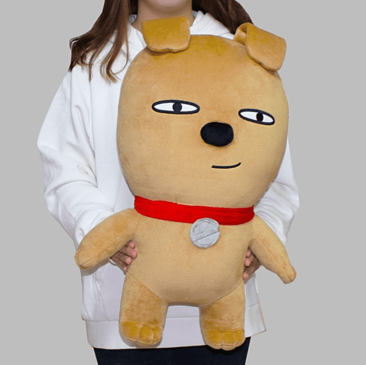 KAKAO FRIENDS Soft Collectible Gift Character Large Doll (FRODO) - SkoopMarket